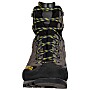 Trango Alp Evo Gtx Men